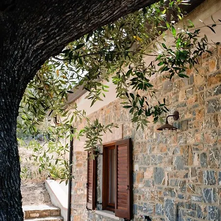 Agri-villa Agrippina أسشيا